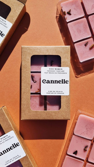 6 carrés de cire parfumée Cannelle 