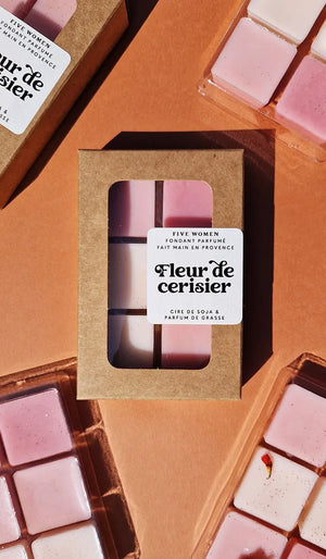 6 carrés de cire parfumée Fleur de cerisier (9526964158803)